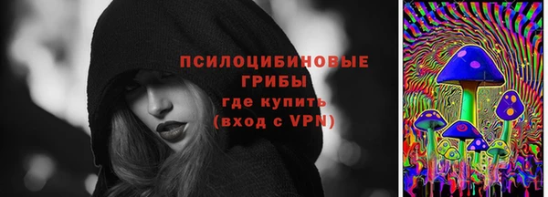 стаф Алексеевка