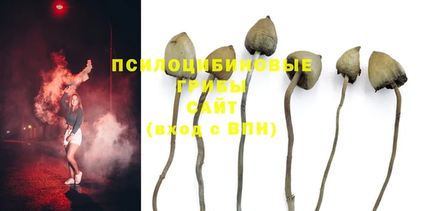 соль курить ск Алзамай