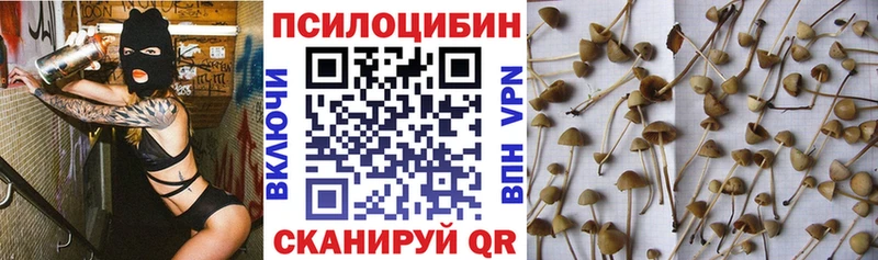 цена наркотик  Сосновка  Псилоцибиновые грибы Cubensis 